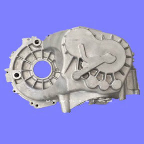 Aluminum Alloy Precision Die Casting for Auto Part Housing