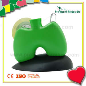 Lung Shape Stationery Adhesive Tape Dispenser (PH6117)
